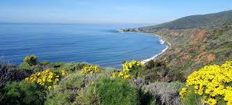 Check spelling or type a new query. Nicholas Canyon Beach Beaches Harbors
