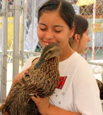 The 40th annual Great American Duck Race is a family affair
