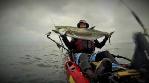 Spanish Mackerel On Live Bait Noosa Kayak Fishing Viking Profish Reload Youtube 1 translation result for viking in spanish. spanish mackerel on live bait noosa kayak fishing viking profish reload