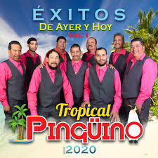 Reproduce, descubre y comparte gratis. Solo Tu Song By Tropical Pinguino Spotify