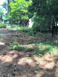 filling in a sinkhole and leveling my