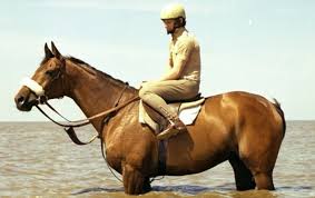 Image result for desert orchid paintings