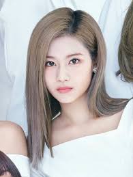 This page provides all possible translations of the word sana in the korean language. Sana Twice Twice ãµã é«ª è² å¹³äºãã