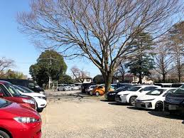 清水公園土日祝日駐車場混雑状況 3連休 快晴日に訪問 満車状況現地レポ 駐車場 土日 公園 アスレチック