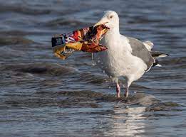 The Philippines Has A Major Problem With Plastic Pollution Here S What They Re Doing About It Plastic Pollution World Environment Day Pollution