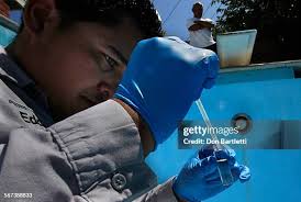 711 Mosquito Larvae Stock Photos, High-Res Pictures, and Images