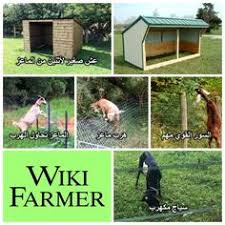 مأوى الماعز بناء مزرعة الماعز Wikifarmer Goats Farmer Goat Farming