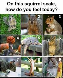 Feelings chart happy angry nervous. On This Squirrel Scale How Do You Feel Today Ifunny How Are You Feeling Squirrel How Do You Feel Today