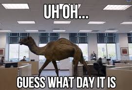 Good morning all, happy hump day #camel. 60 Funniest Hump Day Memes To Survive Wednesdays