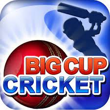 Cricbuddy live line cricket scores and updates android apk. Big Cup Cricket Home Facebook