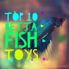 Top 10 Ideas For Betta Fish Toys Don T Have A Bored Betta Betta Fish Toys Betta Fish Betta Aquarium