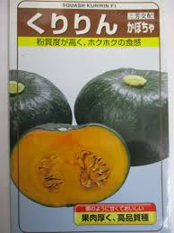たねと苗の専門店 きりはら