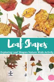 Exploring Leaf Shapes Nature Walk Activity Creative Little Explorers Nature Walk Activities Leaf Shapes Nature Activities