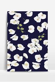 Blue and white floral seamless pattern. White Orchid Floral Seamless Pattern Flowers Bloom Blossom Foliage Bouquet On Dark Blue Backgrounds Eps Free Download Pikbest