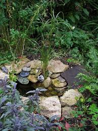 His wife, gloria, had her doubts (i wasn't that excited with the dan's pond attracts birds, frogs, butterflies, and crickets (no mosquitoes, though, thanks to the moving water). Pin By Hannah Smith On Outdoor Ideas Pond Landscaping Water Features In The Garden Ponds Backyard