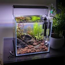 In this complete guide to betta fish tanks we detail exactly what makes the best tank before reviewing the most popular tanks available at the moment. This Mini Cube Tank Is Looking Good Betta Aquarium Fish Tank Nano Tank