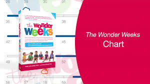 the wonder weeks chart explained