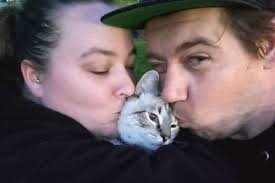 Fundraiser by Devin Johansson : Casper's Emergency Vet Care & After  treatment