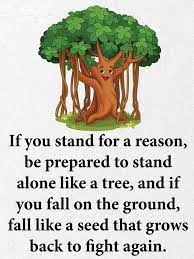 Pin By Camilla Madsen On Qoutes Modesty Quotes Quotes To Live By Inspirational Quotes