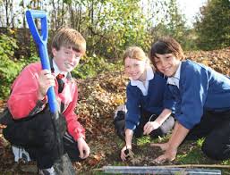 Fruit tree pruning can generally be carried out in winter, spring or summer, depending on what your end goal is. Trees For Schools Apply For Free Trees