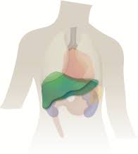 Maybe you would like to learn more about one of these? Understand The Free Easy Wanderer Formulas For Optimum Results Heaven Earth Chinese Medicine Healing Center