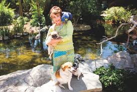 Jackson, winner of palm springs life's cutest pet contest, was rescued from a water pipe in the mecca desert by loving all animals and adopted the couple met jackson during an adoption event at the river they attended at the suggestion of a close friend who had also recently adopted a dog. Palm Springs Animal Shelters Pet Adoptions Lindi Biggi Loving All Animals