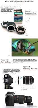 Macro Photography Without Macro Lens Macro Photography Tips Macro Photography Photography Lessons