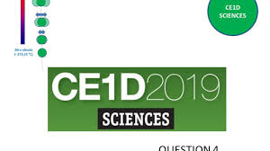 Trop facile le ce1d en français ? Ce1d Sciences 2019 Question 4 Corrige Youtube
