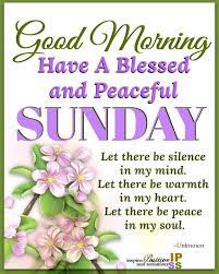  Inspiring Good Morning Peaceful Sunday Image Pictures Photos And Images For Facebook Tum Good Morning Happy Sunday Happy Sunday Quotes Sunday Morning Quotes