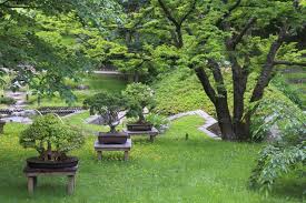 Les 5 Secrets Du Jardin Zen Et Feng Shui Jardin Zen Jardins Jardin Feng Shui
