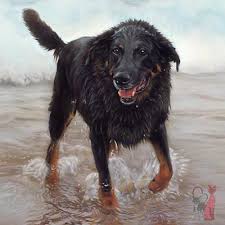 These works of art are created in oil or acrylic paint by a master portrait painting artist. Pet Portraits In Oils See This Collection Of Amazing Paintings