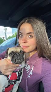 Has anyone else had a young pug with a gray beard?