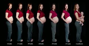 Namun, kenapa protein dalam tubuh ini bisa terdapat di urine? Pembahasan Protein Urine Pada Ibu Hamil Edisi Lengkap