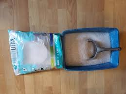 Dillon l september 17, 2019 deals and reviews. 11 Best Non Clumping Cat Litters Of 2021 All About Cats