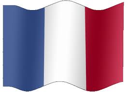 The best gifs are on giphy. French Flag Gifs 23 Animated Tricolor Images For Free