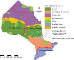 Check spelling or type a new query. Csiro Publishing International Journal Of Wildland Fire
