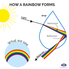 Rain drops are like prisms because they refract light into different colors due to the water. What Are Some Common Examples Of Reflection And Refraction Quora