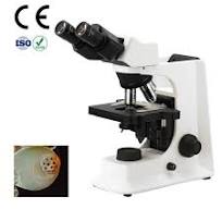 Laboratory Quadruple Nosepiece Biological Microscope Factory Price for  Smart-3LED
