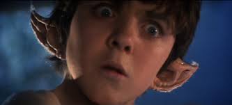 The Dreams of Youth Are The Regrets of Maturity.”