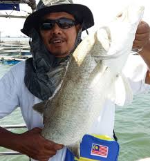 Save sunway hotel seberang jaya to your lists. Nibong Tebal Jadi Tumpuan Kaki Pancing Agro Malaysia