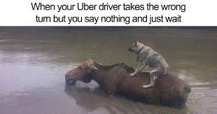 Image result for UBER meme