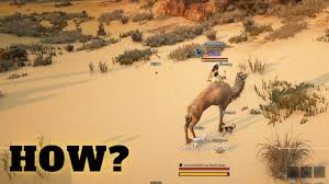 Tier 8 coursers will be able to gain training exp, and will be able to awaken later when they build up enough training exp. How To Get Camel Black Desert Online Mount Youtube