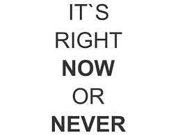 Now or never tattoos 1427 hwy. Wandtattoo Now Or Never Motivation Wandtattoos De