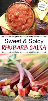 Fermented Rhubarb Salsa Traditional Cooking School Recipe Rhubarb Recipes Recipes Canning Recipes