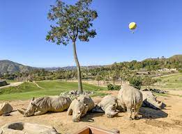 Let ares travel do the hard work. How To Buy Discount San Diego Zoo Safari Park Tickets Top 14 Ways La Jolla Mom