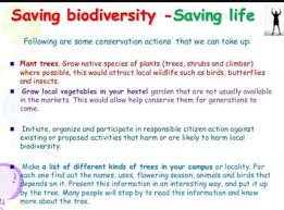 Module 4 Quiz 4 1 What Can You Do To Protect And Conserve Biodiversity In Your Community Reduce Or Eliminat Natural Farming Local Vegetables Biodiversity