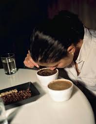 Related topics:bradley cooper limitless pill motivation nzt smart pill success. Sacred Grounds Coffee Farming In El Salvador The New Yorker