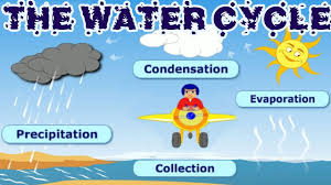 Melting and freezing are two other ways. The Water Cycle Collection Condensation Precipitation Evaporation Learning Videos For Children Youtube