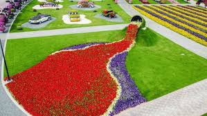Dubai Miracle Garden World S Largest Natural Flower Garden Miracle Garden Beautiful Flowers Garden Most Beautiful Gardens