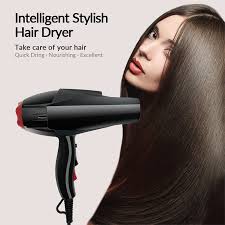 2000 Watt Salon Hair Blower 2000 Watt Blow Hair Dryer Pro Ac Motor  Professional ODM OEM